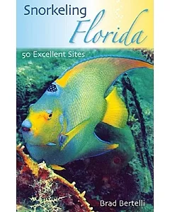 Snorkeling Florida: 50 Excellent Sites