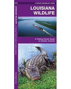 Louisiana Wildlife: An Introduction to Familiar Species