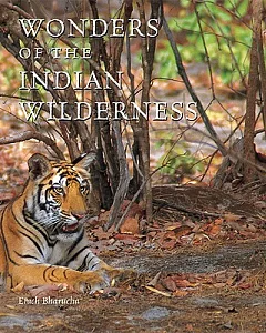Wonders of the Indian Wilderness