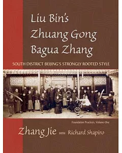 Liu Bin’s Zhuong Gong Bagua Zhang: South District Beijing’s Strongly Rooted Style Foundation Practices