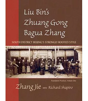 Liu Bin’s Zhuong Gong Bagua Zhang: South District Beijing’s Strongly Rooted Style Foundation Practices