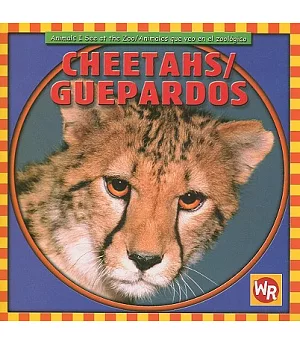 Cheetahs/ Guepardos