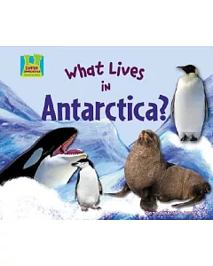 What Lives in Antarctica?