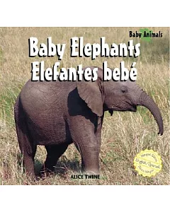 Baby Elephants/Elefantes bebe