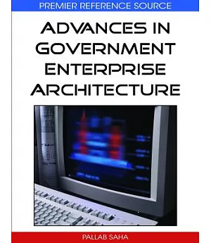 Advances in Government Enterprise Architecture