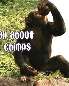 All About Chimps