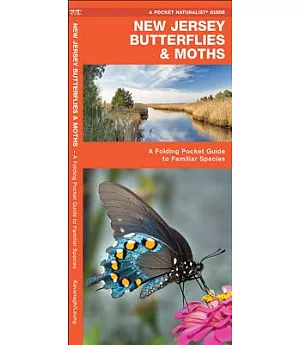 New Jersey Butterflies & Moths: An Introduction to Familiar Species