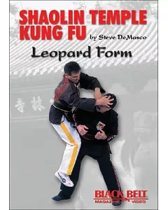 Shaolin Temple Kung Fu: Leopard Form