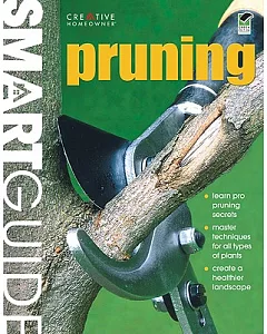 Smart Guide Pruning