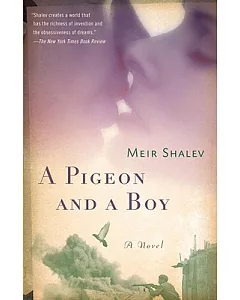 A Pigeon and a Boy
