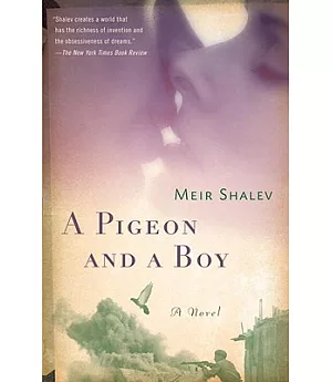 A Pigeon and a Boy