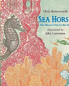Sea Horse: The Shyest Fish in the Sea