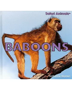 Baboons