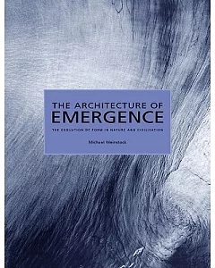 The Architecture of Emergence: The Evolution of Form in Nature and Civilisation