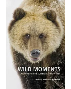 Wild Moments: Adventures With Animals of the North