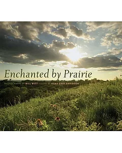 Enchanted by Prairie