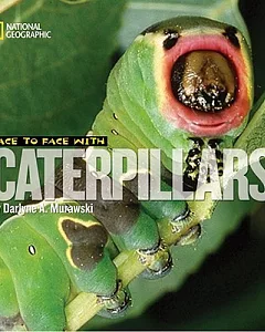 Face to Face With Caterpillars