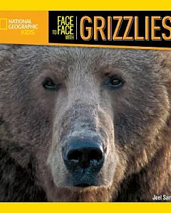 Face to Face With Grizzlies