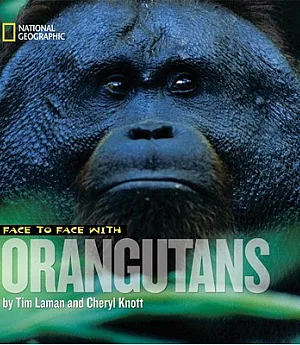 Face to Face With Orangutans