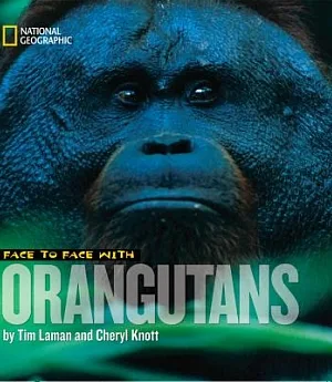 Face to Face With Orangutans