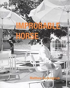 Improbable Horse