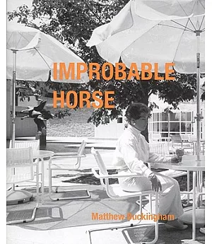 Improbable Horse