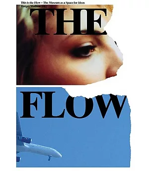 This Is the Flow: The Museum As a Space for Ideas