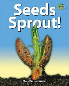 Seeds Sprout!