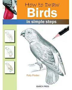 How to Draw Birds: In Simple Steps