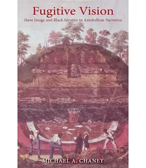 Fugitive Vision: Slave Image and Black Identity in Antebellum Narrative
