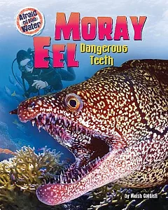 Moray Eel: Dangerous Teeth