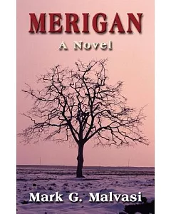 Merigan: a Novel