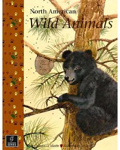 North American Wild Animals