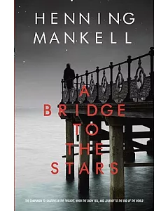 A Bridge to the Stars