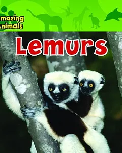 Lemurs