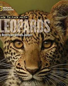 Face to Face with Leopards