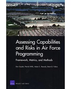 Assessing Capabilities and Risks in Air Force Programming: Framework, Metrics, And Methods