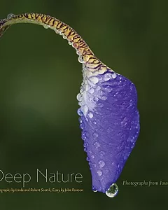 Deep Nature: Photographs from Iowa