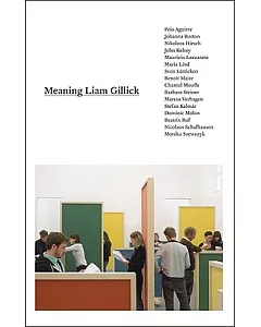 Meaning Liam Gillick