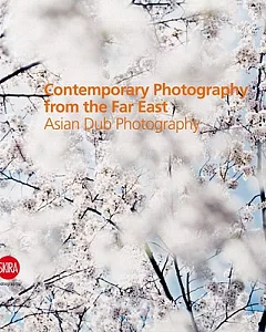 Contemporary Photography from the Far East: Asian Dub Photography