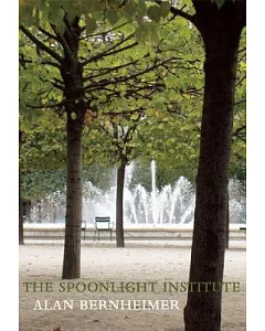 The Spoonlight Institute