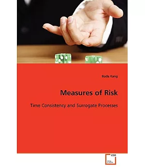 Measures of Risk: Time Consistency and Surrogate Processes