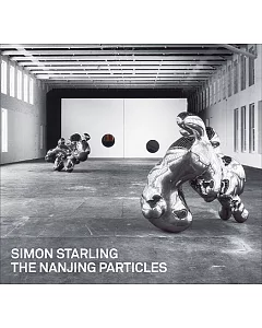 Simon starling: The Nanjing Particles