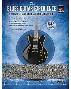 The Blues Guitar Experience: Your Practical Guide to the Landmark Styles of Blues