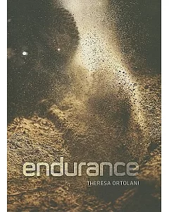 Endurance: Down and Dirty Off-Road Racing