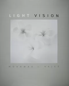 Light Vision