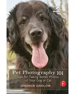 Pet Photography 101: Tips for Taking Better Photos of Your Cat or Dog