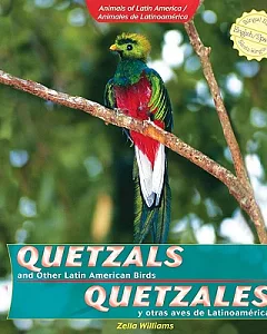 Quetzals and Other Latin American Birds / Quetzales y otras aves de Latinoamerica