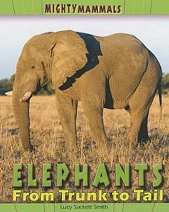 Elephants: From Trunk to Tail
