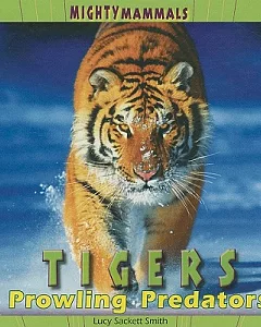 Tigers: Prowling Predatros